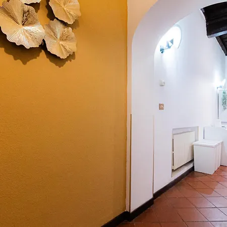 Persia Collection Ripetta Rome